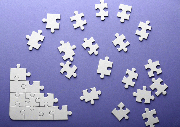 19 نکته مهم درباره مدفوع سگ: رنگ، شکل، بو و اندازه