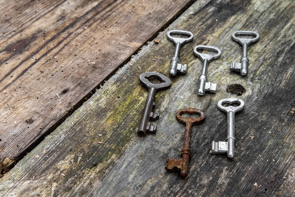 کسب درآمد از طریق سیستم‌های همکاری در فروش