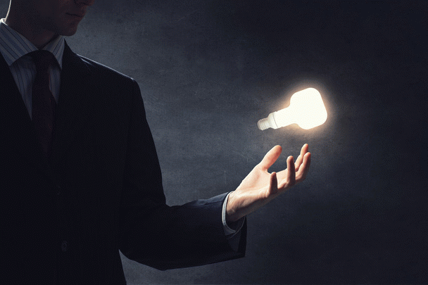 20 نکته مهم قبل از به سرپرستی گرفتن سگ هاسکی سیبرین